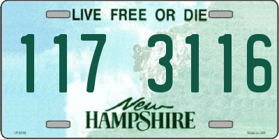 NH license plate 1173116