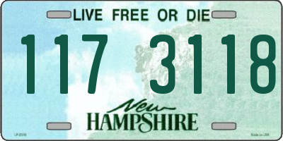 NH license plate 1173118