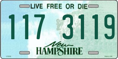 NH license plate 1173119