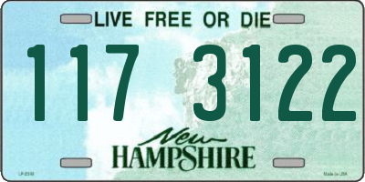 NH license plate 1173122