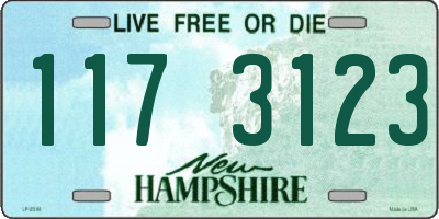 NH license plate 1173123