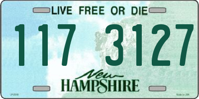 NH license plate 1173127