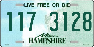 NH license plate 1173128