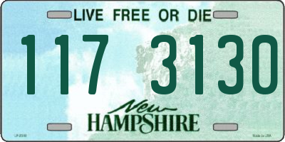 NH license plate 1173130