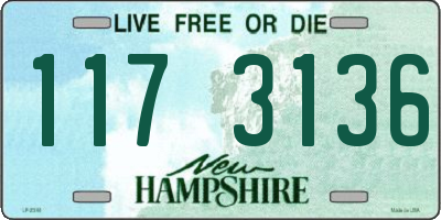 NH license plate 1173136