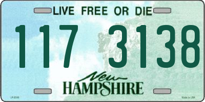 NH license plate 1173138