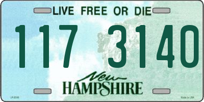 NH license plate 1173140