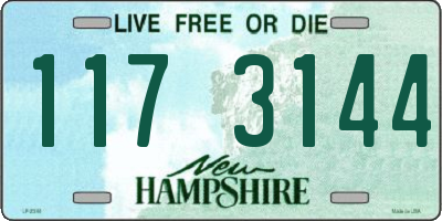 NH license plate 1173144