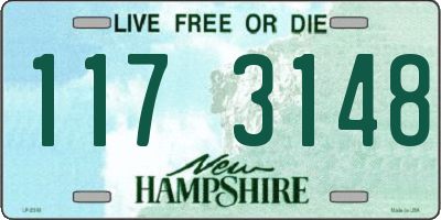 NH license plate 1173148