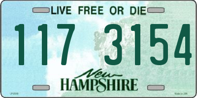 NH license plate 1173154