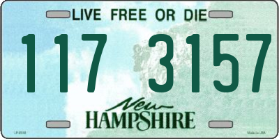 NH license plate 1173157