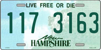NH license plate 1173163