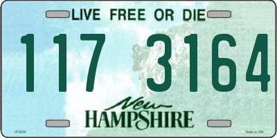 NH license plate 1173164