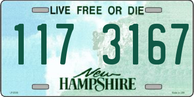 NH license plate 1173167