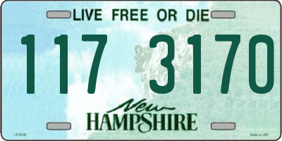 NH license plate 1173170