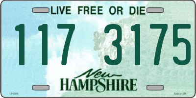 NH license plate 1173175