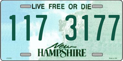 NH license plate 1173177