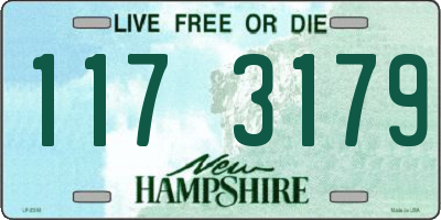 NH license plate 1173179