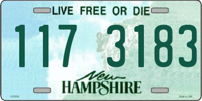 NH license plate 1173183