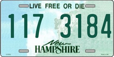 NH license plate 1173184