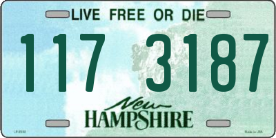 NH license plate 1173187