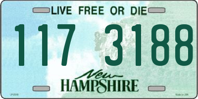 NH license plate 1173188