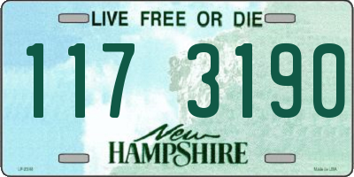 NH license plate 1173190