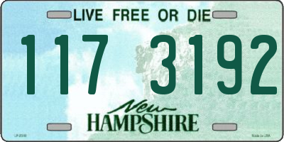 NH license plate 1173192