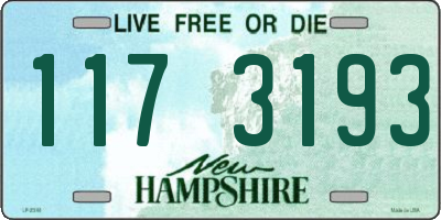 NH license plate 1173193
