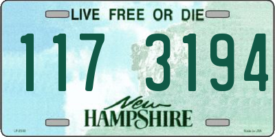 NH license plate 1173194