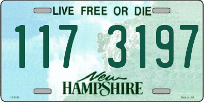 NH license plate 1173197