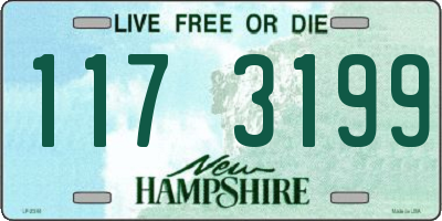 NH license plate 1173199