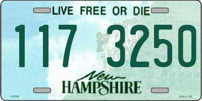 NH license plate 1173250