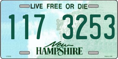 NH license plate 1173253