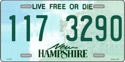 NH license plate 1173290