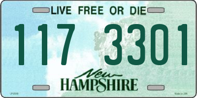 NH license plate 1173301