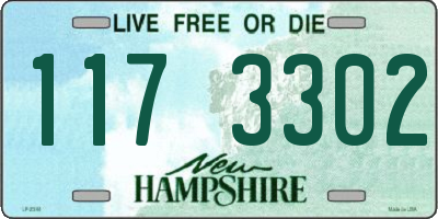 NH license plate 1173302