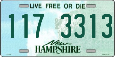 NH license plate 1173313