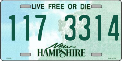 NH license plate 1173314