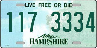 NH license plate 1173334
