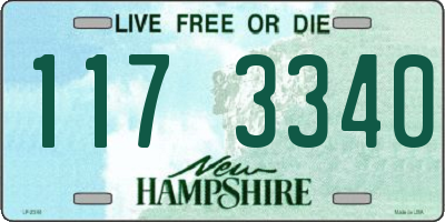 NH license plate 1173340