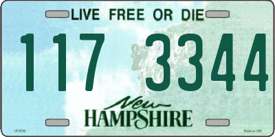 NH license plate 1173344
