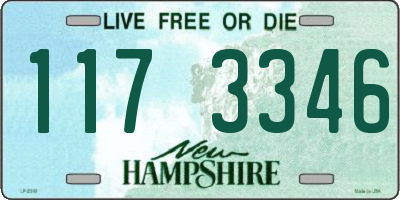 NH license plate 1173346
