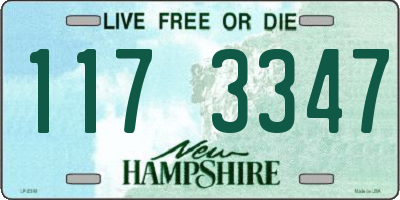 NH license plate 1173347