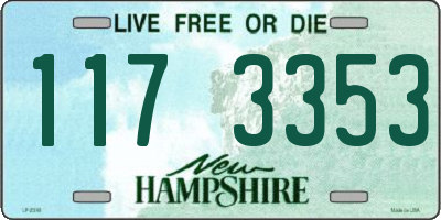 NH license plate 1173353