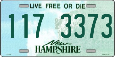 NH license plate 1173373