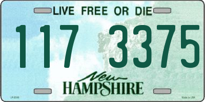 NH license plate 1173375