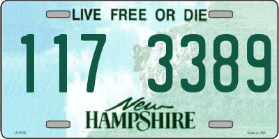 NH license plate 1173389