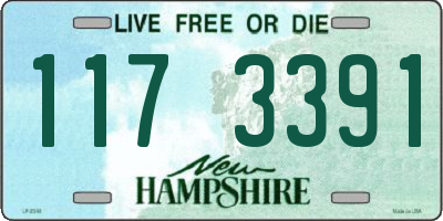 NH license plate 1173391