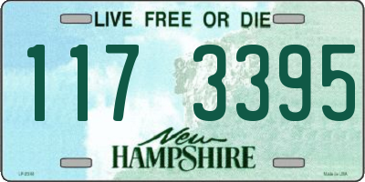 NH license plate 1173395